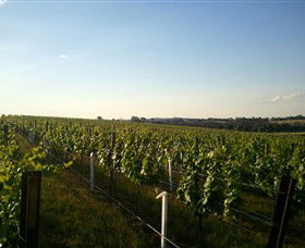 Beechworth Wine Estates - Accommodation Newcastle 5