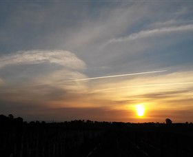 Beechworth Wine Estates - Accommodation Newcastle 4