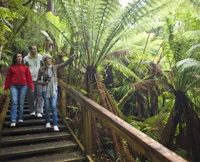 Otway Fly Treetop Adventures - Accommodation Newcastle 0