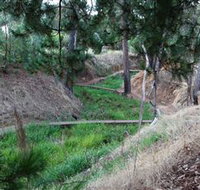 Lions Club Bicentennial Walk - Accommodation Newcastle