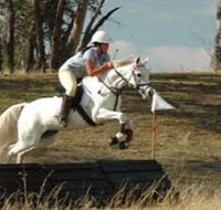 National Equestrian Centre - Kerrabee - Accommodation Newcastle