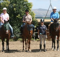 Forest Park Riding and Equitation School - Accommodation Newcastle
