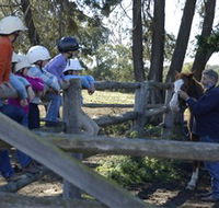 Harlow Park Horse Riding - Accommodation Newcastle