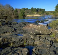 Kambah Pool to Pine Island - Accommodation Newcastle