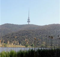 Black Mountain Peninsula - Accommodation Newcastle