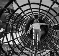 Pod Playground at the National Arboretum - Accommodation Newcastle