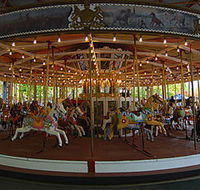 Merry-Go-Round - Accommodation Newcastle