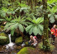 Baw Baw National Park - Accommodation Newcastle
