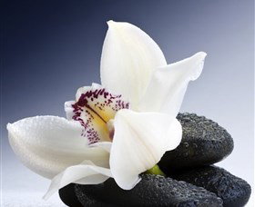H2O Spa - Accommodation Newcastle 1