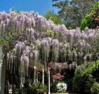 Nooroo Gardens - Accommodation Newcastle