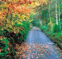Mount Wilson and Mount Irvine - Accommodation Newcastle
