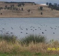 Lake Liddell Recreation Area - Accommodation Newcastle
