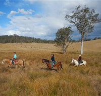 Chapman Valley Horse Riding - Accommodation Newcastle