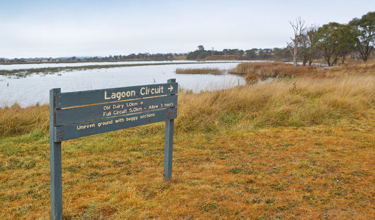 Attunga NSW Accommodation Newcastle