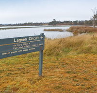 Lagoon Circuit walking track - Accommodation Newcastle