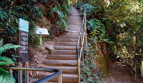 Federal Pass - Accommodation Newcastle 1