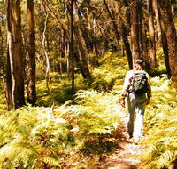 Federal Pass - Accommodation Newcastle