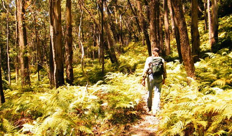 Federal Pass - Accommodation Newcastle 0