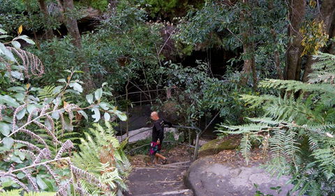 Leura Cascades Fern Bower - Accommodation Newcastle 0