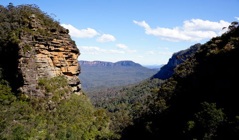 Leura Cascades Fern Bower - Accommodation Newcastle 1
