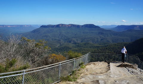 Leura Cascades Fern Bower - Accommodation Newcastle 2