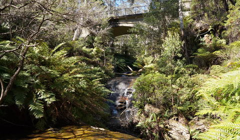 Leura Cascades Fern Bower - Accommodation Newcastle 3