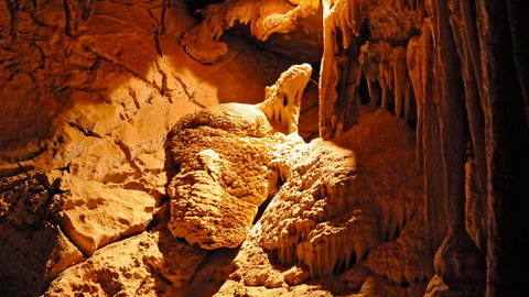 Wombeyan Karst Conservation Reserve - Accommodation Newcastle 2