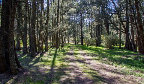 Wombeyan Waterfall Walking Track - Accommodation Newcastle 0