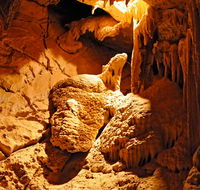 Fig Tree Cave - Accommodation Newcastle