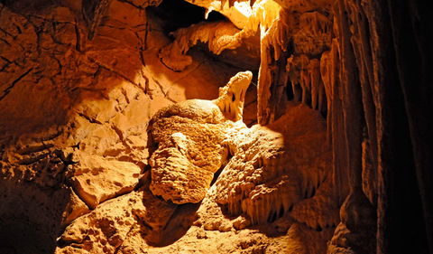 Fig Tree Cave - Accommodation Newcastle 0