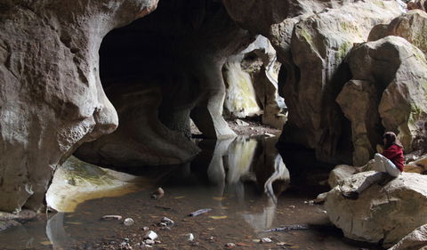 Fig Tree Cave - Accommodation Newcastle 2