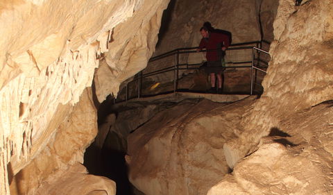 Fig Tree Cave - Accommodation Newcastle 3