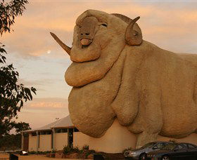 Big Merino - Accommodation Newcastle 3