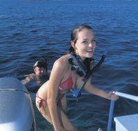 Seal Cove - Accommodation Newcastle
