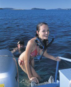 Seal Cove - Accommodation Newcastle 0