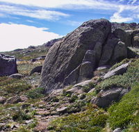 Mount Stillwell walk - Accommodation Newcastle