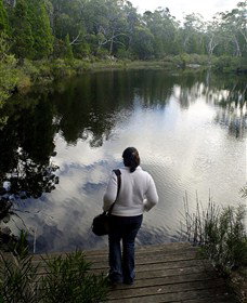 Boonoo Boonoo Falls National Park - Accommodation Newcastle 1