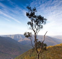 Salisbury Waters walking track - Accommodation Newcastle