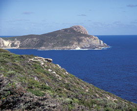 Bald Head Walking Track - Accommodation Newcastle 0