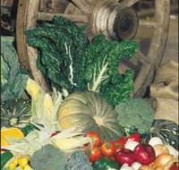 Mulgowie Real Farmers Markets - Accommodation Newcastle