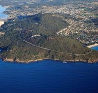 Avenue of Honour - Accommodation Newcastle