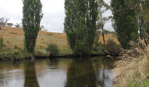 Thredbo River Picnic Area - Accommodation Newcastle 3