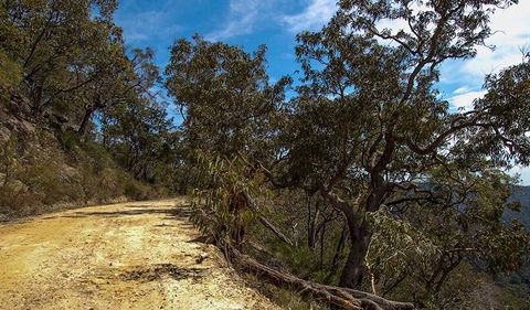 Parr State Conservation Area - Accommodation Newcastle 0