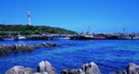 King Island Dairies - Accommodation Newcastle 0
