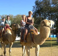 Calamunnda Camel Farm  - Accommodation Newcastle