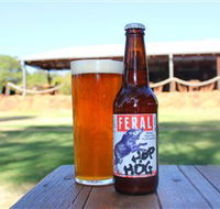 Feral Brewing Company - Accommodation Newcastle