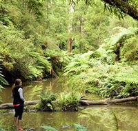 Morwell National Park - Accommodation Newcastle