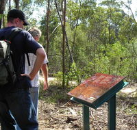 Finchley cultural walk - Accommodation Newcastle