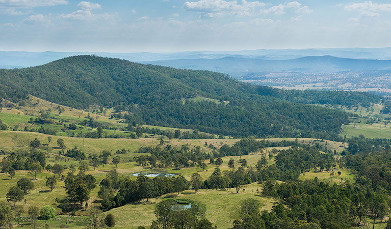 Legume NSW Accommodation Newcastle
