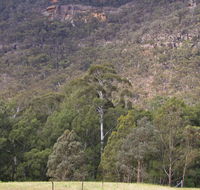 Bangadilly National Park - Accommodation Newcastle